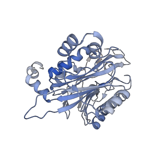 17867_8pt4_C_v1-0
beta-Ureidopropionase tetramer