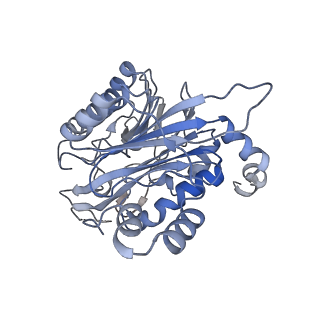 17867_8pt4_D_v1-0
beta-Ureidopropionase tetramer