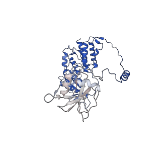 17868_8pt6_A_v1-0
Tilapia Lake Virus polymerase in vRNA initiation state (replicase conformation)