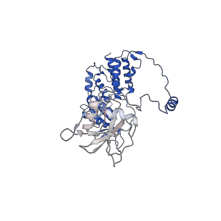 17868_8pt6_A_v1-1
Tilapia Lake Virus polymerase in vRNA initiation state (replicase conformation)