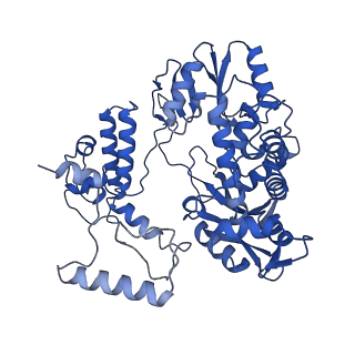 17868_8pt6_B_v1-0
Tilapia Lake Virus polymerase in vRNA initiation state (replicase conformation)