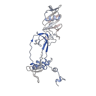 17868_8pt6_C_v1-1
Tilapia Lake Virus polymerase in vRNA initiation state (replicase conformation)