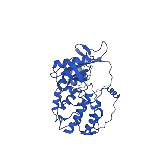 17869_8pt7_A_v1-0
Tilapia Lake Virus polymerase in cRNA pre-initiation state mode A (core-endo only)