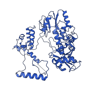 17871_8pth_B_v1-0
Tilapia Lake Virus polymerase in vRNA pre-initiation state mode B (open core | partial replicase conformation)