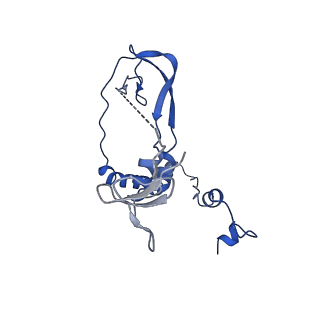 17871_8pth_C_v1-0
Tilapia Lake Virus polymerase in vRNA pre-initiation state mode B (open core | partial replicase conformation)