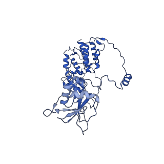 17872_8ptj_A_v1-0
Tilapia Lake Virus polymerase in vRNA pre-initiation state mode B (close core | partial replicase conformation)