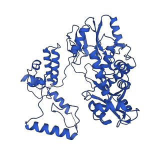 17872_8ptj_B_v1-0
Tilapia Lake Virus polymerase in vRNA pre-initiation state mode B (close core | partial replicase conformation)