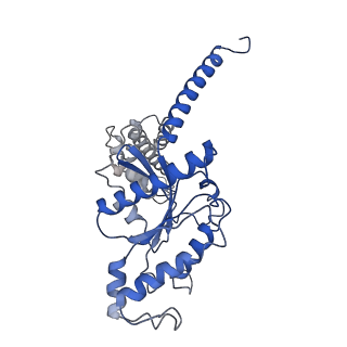 20470_6pt0_A_v1-1
Cryo-EM structure of human cannabinoid receptor 2-Gi protein in complex with agonist WIN 55,212-2