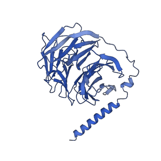 20470_6pt0_B_v1-1
Cryo-EM structure of human cannabinoid receptor 2-Gi protein in complex with agonist WIN 55,212-2