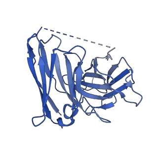 20470_6pt0_E_v1-1
Cryo-EM structure of human cannabinoid receptor 2-Gi protein in complex with agonist WIN 55,212-2