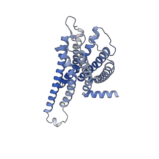 20470_6pt0_R_v1-1
Cryo-EM structure of human cannabinoid receptor 2-Gi protein in complex with agonist WIN 55,212-2