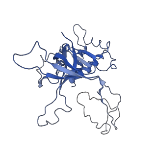 20471_6ptj_2_v1-1
Structure of Ctf4 trimer in complex with one CMG helicase