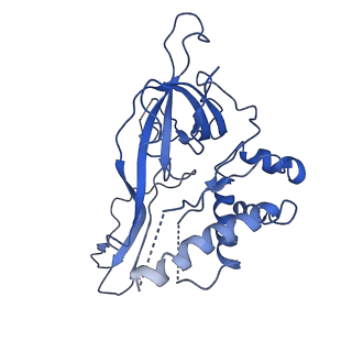20471_6ptj_3_v1-1
Structure of Ctf4 trimer in complex with one CMG helicase