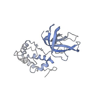 20471_6ptj_4_v1-1
Structure of Ctf4 trimer in complex with one CMG helicase