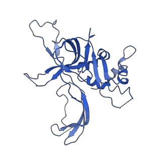 20471_6ptj_5_v1-1
Structure of Ctf4 trimer in complex with one CMG helicase