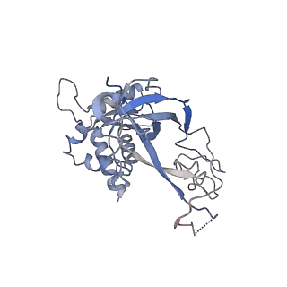 20471_6ptj_6_v1-1
Structure of Ctf4 trimer in complex with one CMG helicase