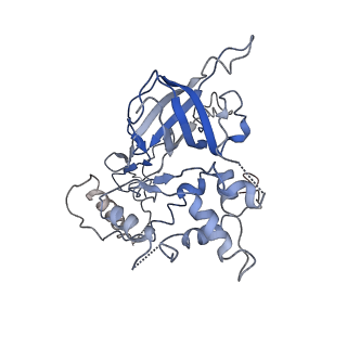 20471_6ptj_7_v1-1
Structure of Ctf4 trimer in complex with one CMG helicase
