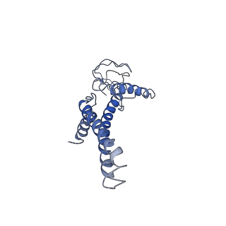 20471_6ptj_A_v1-1
Structure of Ctf4 trimer in complex with one CMG helicase