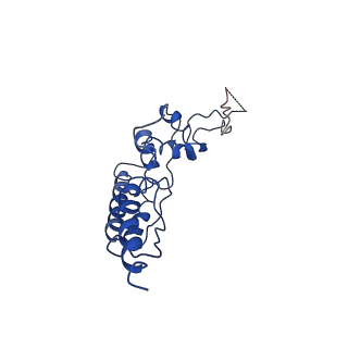 20471_6ptj_B_v1-1
Structure of Ctf4 trimer in complex with one CMG helicase