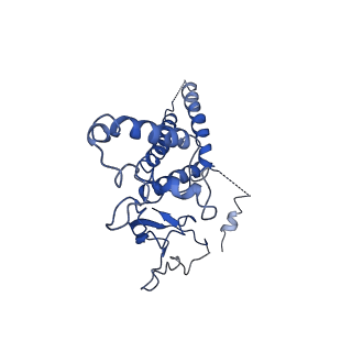 20471_6ptj_D_v1-1
Structure of Ctf4 trimer in complex with one CMG helicase