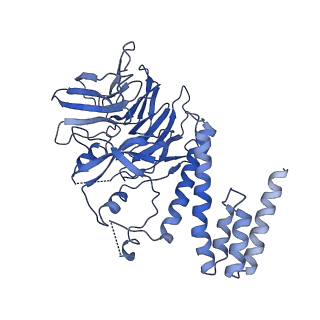 20471_6ptj_E_v1-1
Structure of Ctf4 trimer in complex with one CMG helicase