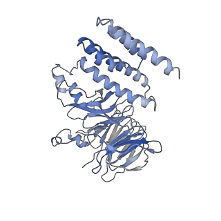 20471_6ptj_F_v1-1
Structure of Ctf4 trimer in complex with one CMG helicase