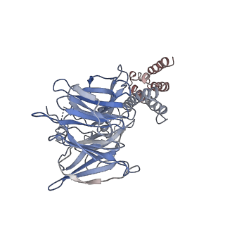 20471_6ptj_G_v1-1
Structure of Ctf4 trimer in complex with one CMG helicase
