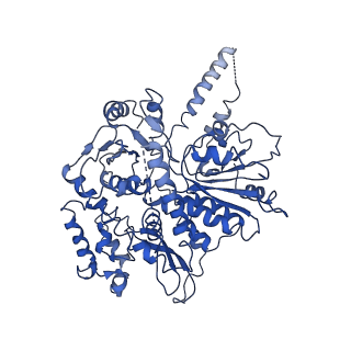 20471_6ptj_c_v1-1
Structure of Ctf4 trimer in complex with one CMG helicase