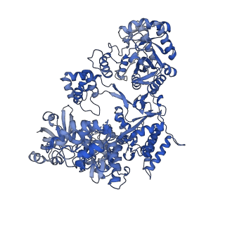 13654_7pu7_A_v1-1
DNA polymerase from M. tuberculosis