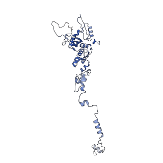 13660_7pua_CE_v1-0
Middle assembly intermediate of the Trypanosoma brucei mitoribosomal small subunit