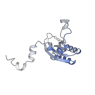 13660_7pua_CF_v1-0
Middle assembly intermediate of the Trypanosoma brucei mitoribosomal small subunit