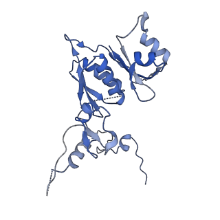 13660_7pua_CH_v1-0
Middle assembly intermediate of the Trypanosoma brucei mitoribosomal small subunit
