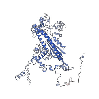 13660_7pua_CJ_v1-0
Middle assembly intermediate of the Trypanosoma brucei mitoribosomal small subunit