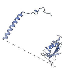 13660_7pua_CK_v1-0
Middle assembly intermediate of the Trypanosoma brucei mitoribosomal small subunit