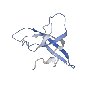 13660_7pua_CL_v1-0
Middle assembly intermediate of the Trypanosoma brucei mitoribosomal small subunit