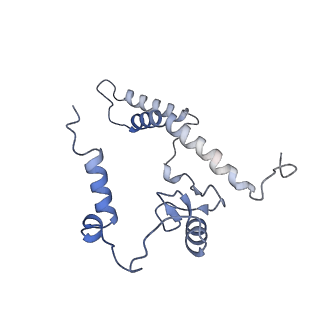 13660_7pua_CN_v1-0
Middle assembly intermediate of the Trypanosoma brucei mitoribosomal small subunit