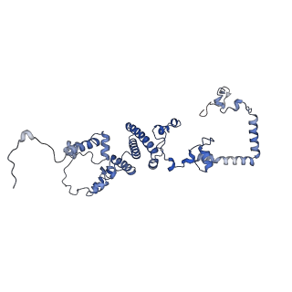 13660_7pua_CO_v1-0
Middle assembly intermediate of the Trypanosoma brucei mitoribosomal small subunit
