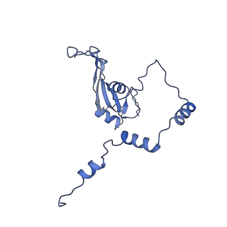 13660_7pua_CP_v1-0
Middle assembly intermediate of the Trypanosoma brucei mitoribosomal small subunit