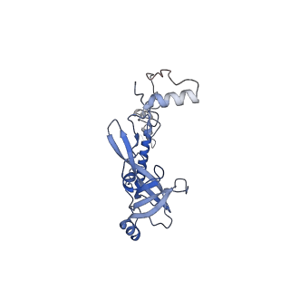 13660_7pua_CQ_v1-0
Middle assembly intermediate of the Trypanosoma brucei mitoribosomal small subunit