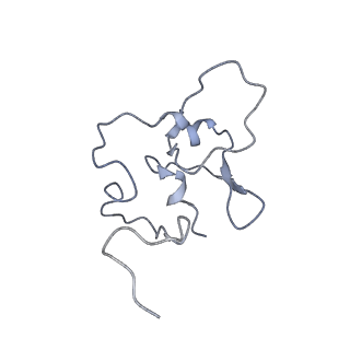 13660_7pua_CS_v1-0
Middle assembly intermediate of the Trypanosoma brucei mitoribosomal small subunit