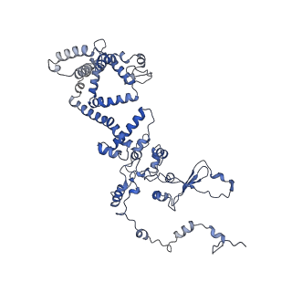 13660_7pua_Ca_v1-0
Middle assembly intermediate of the Trypanosoma brucei mitoribosomal small subunit