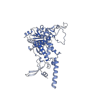 13660_7pua_Cg_v1-0
Middle assembly intermediate of the Trypanosoma brucei mitoribosomal small subunit