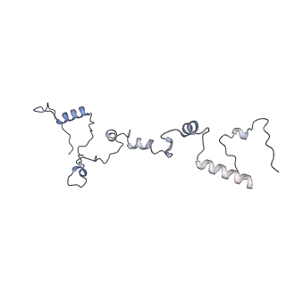 13660_7pua_Ci_v1-0
Middle assembly intermediate of the Trypanosoma brucei mitoribosomal small subunit