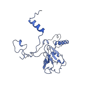 13660_7pua_Cj_v1-0
Middle assembly intermediate of the Trypanosoma brucei mitoribosomal small subunit