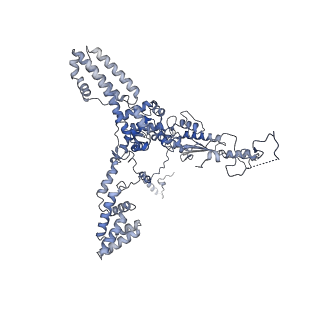 13660_7pua_Ck_v1-0
Middle assembly intermediate of the Trypanosoma brucei mitoribosomal small subunit