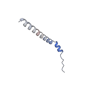 13660_7pua_Cn_v1-0
Middle assembly intermediate of the Trypanosoma brucei mitoribosomal small subunit