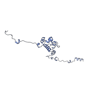 13660_7pua_Cp_v1-0
Middle assembly intermediate of the Trypanosoma brucei mitoribosomal small subunit