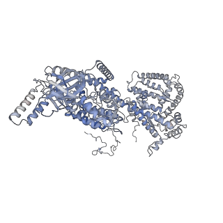 13660_7pua_DC_v1-0
Middle assembly intermediate of the Trypanosoma brucei mitoribosomal small subunit