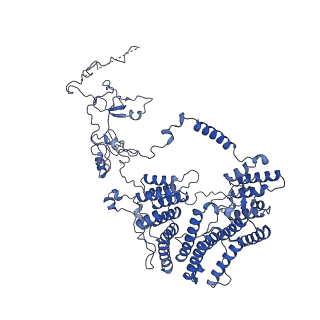13660_7pua_DD_v1-0
Middle assembly intermediate of the Trypanosoma brucei mitoribosomal small subunit