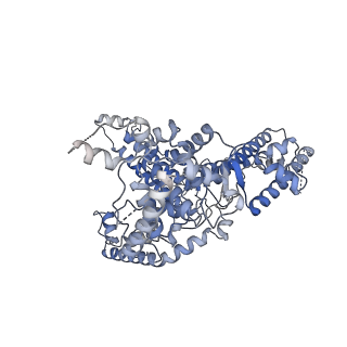 13660_7pua_DE_v1-0
Middle assembly intermediate of the Trypanosoma brucei mitoribosomal small subunit